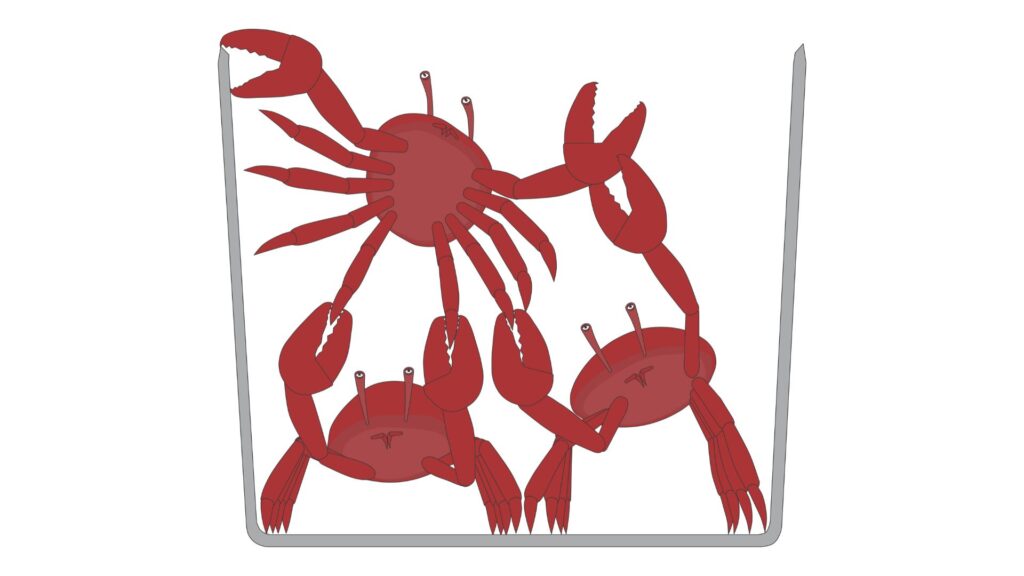 Krabben in einem Korb, die sich gegenseitig nach unten ziehen.